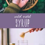 Wild Violet Syrup Recipe: Herbal Syrups