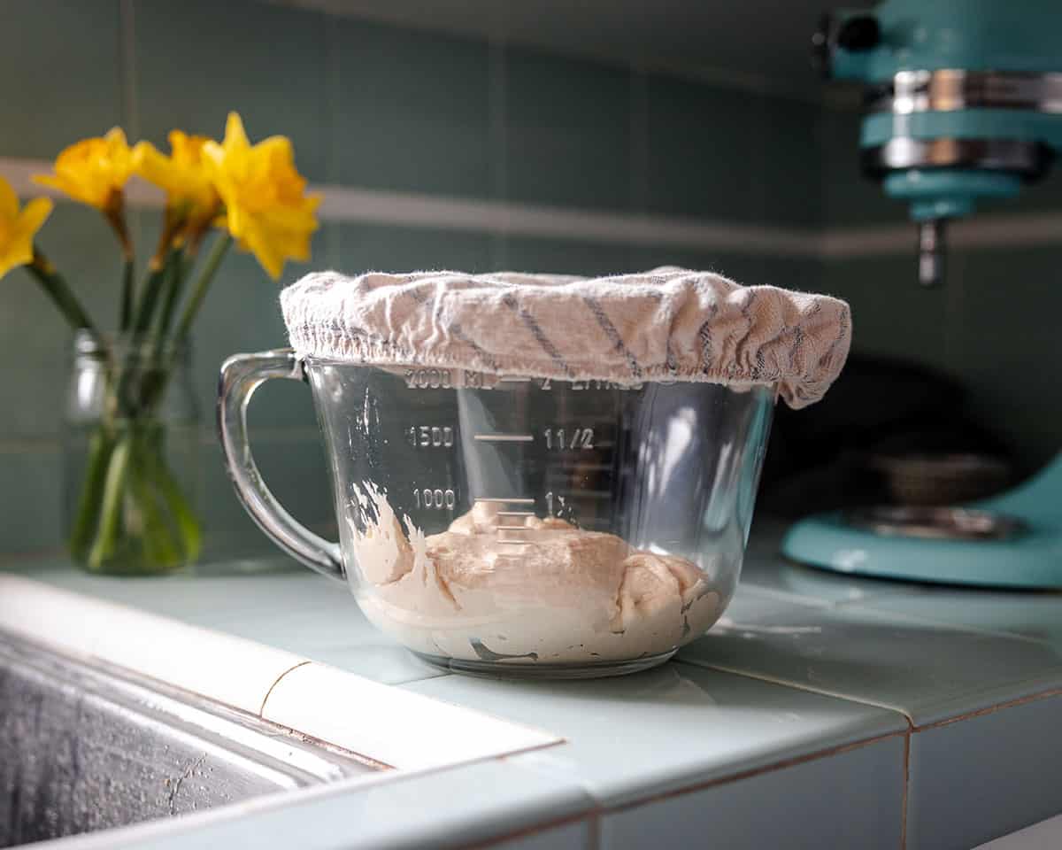 The bowl of sourdough pancake mixture with a cover on it to sit overnight. 