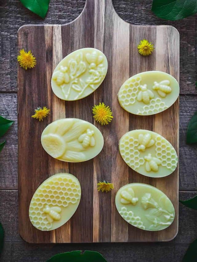 Dandelion Lotion Bar Recipe Grow Forage Cook Ferment