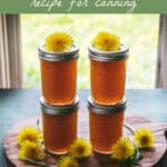 Dandelion Jelly Recipe for Canning