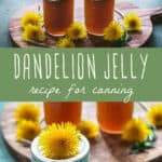 Dandelion Jelly Recipe