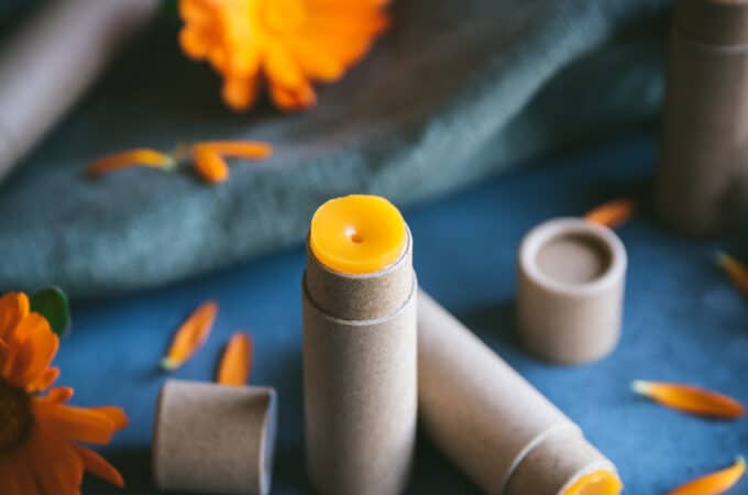 A chapstick tube with orange calendula lip balm standing up and one laying on its side, on a dark blue surface surrounded by calendula flowers and petals.