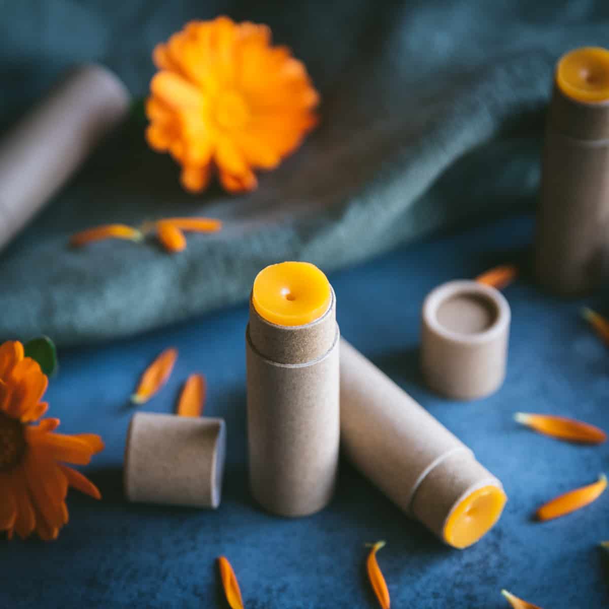 A chapstick tube with orange calendula lip balm standing up and one laying on its side, on a dark blue surface surrounded by calendula flowers and petals. 