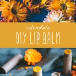calendula lip balm - herbal lip balm recipe