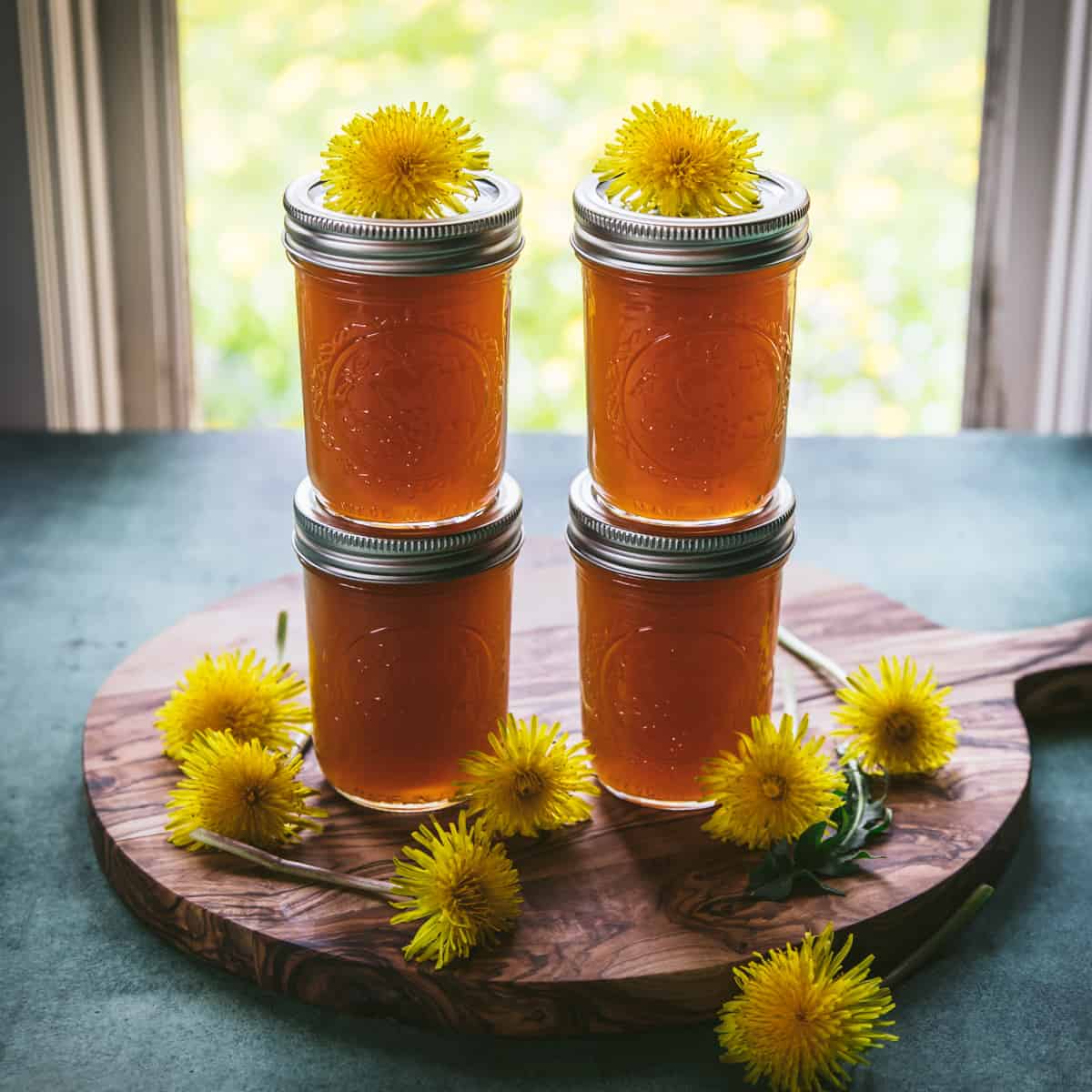 4 jars of sealed dandelion jelly, stacked in twos. On a circular wood cutting board surrounded and topped by fresh dandelion flowers, in front of a window with natural light. 