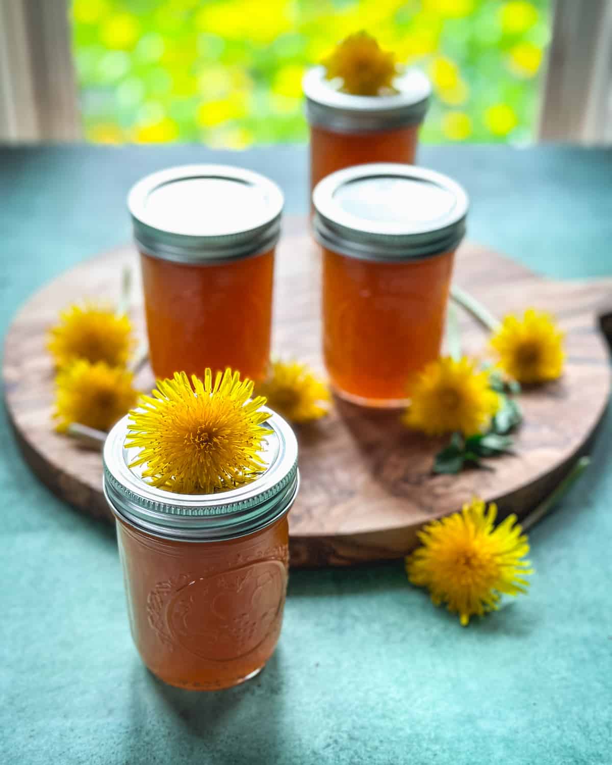 4 jars of dandelion jelly, one in the front has a fresh dandelion resting on top. Some are on a wooden cutting board, on a green surface, with dandelion flowers surrounding.