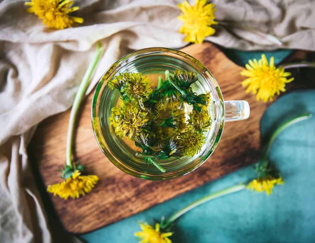 Top view of fresh dandelion flower tea in a clear mug, on a wooden cutting board with a turquoise background and a natural colored cloth, surrounded by fresh dandelion flowers. 