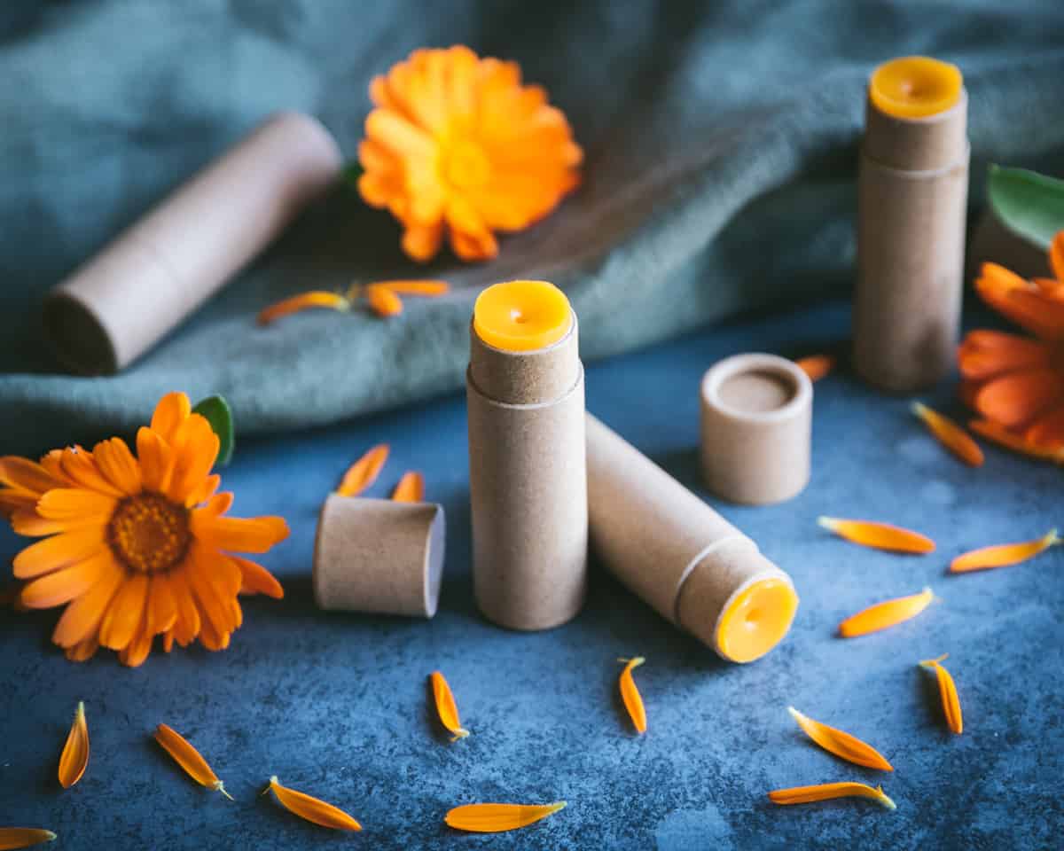 Several lip balm tubes with lids off, some standing and some laying. Each showing orange color calendula lip balm, on a dark blue surface with calendula flowers and petals surrounding. 