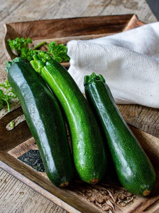 5 Best Preserving Zucchini Recipes Grow Forage Cook Ferment