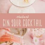 rhubarb gin cocktail