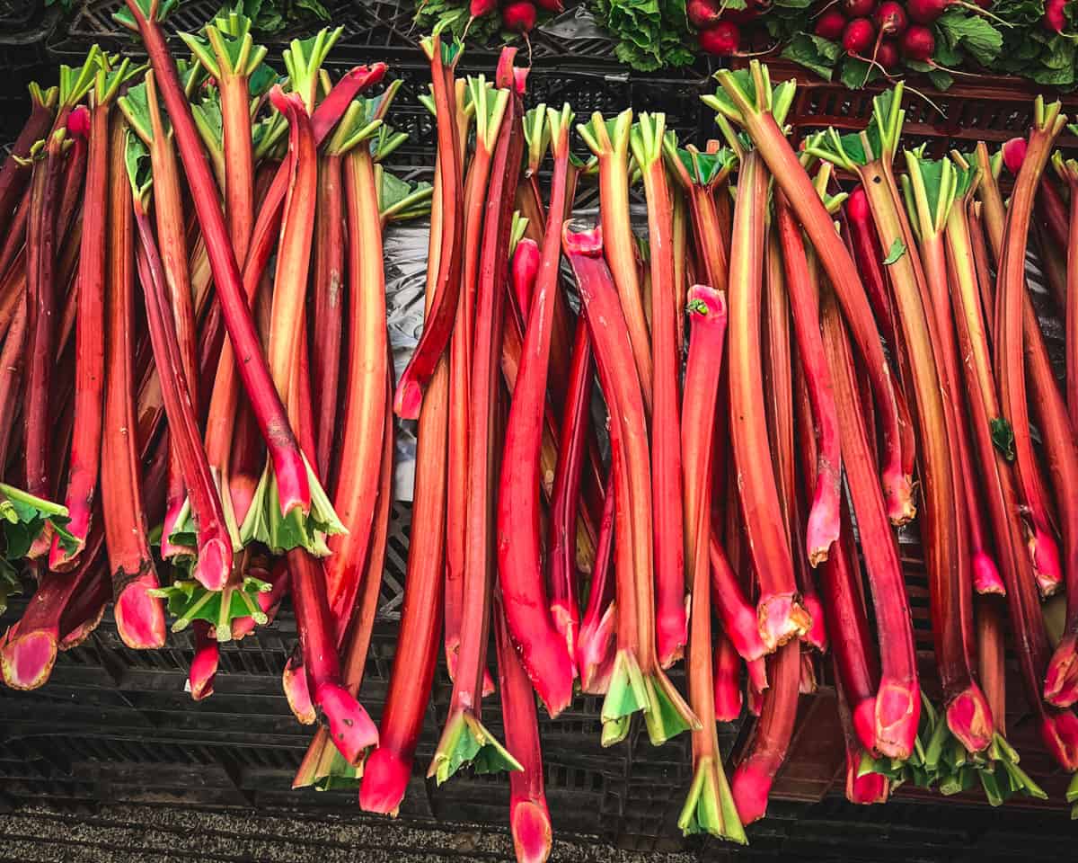 A pile of dark pink rhubarb. 