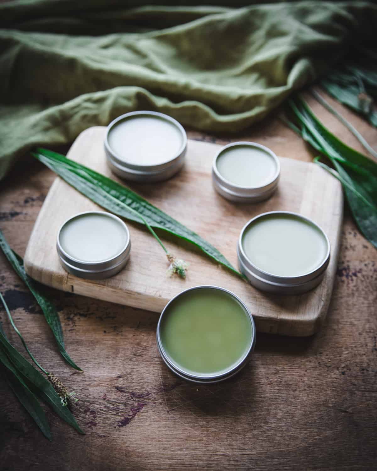 Finished plantain salve in tins ready to use on a wood surface, surrounded by fresh plantain leaves and blooms.