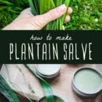how to make plantain salve