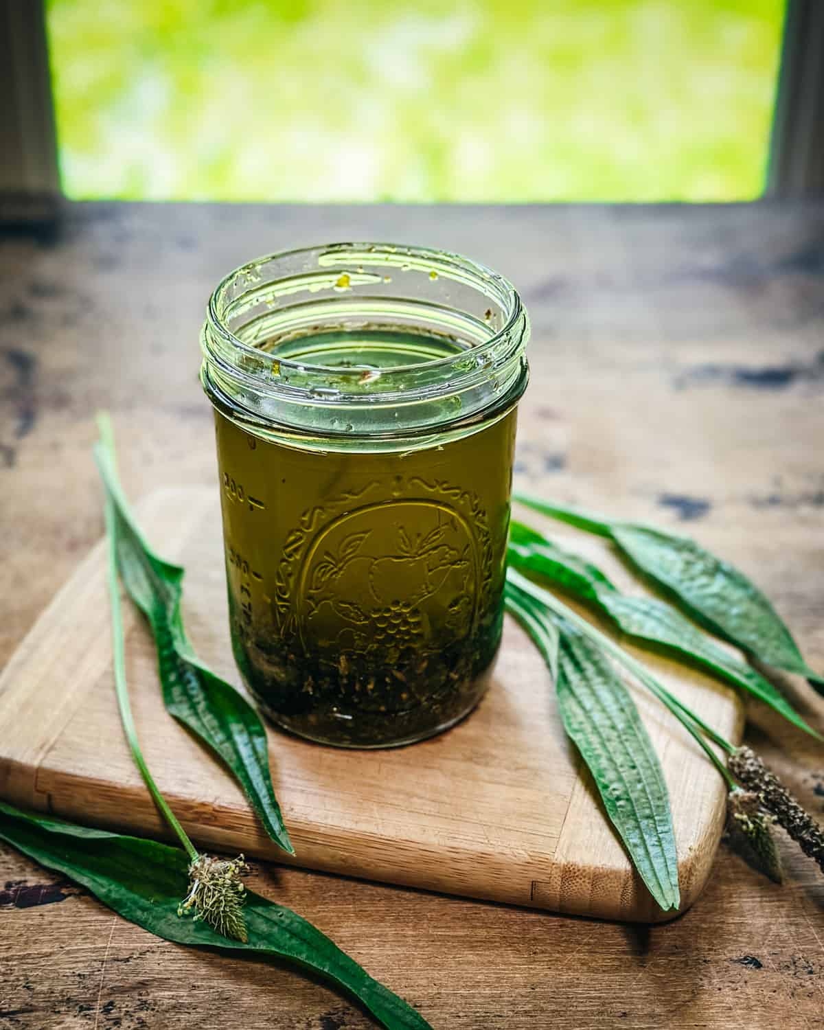 A jar of oil infusing with plantain leaves, on a wooden cutting board surrounded by fresh plantain leaves. 