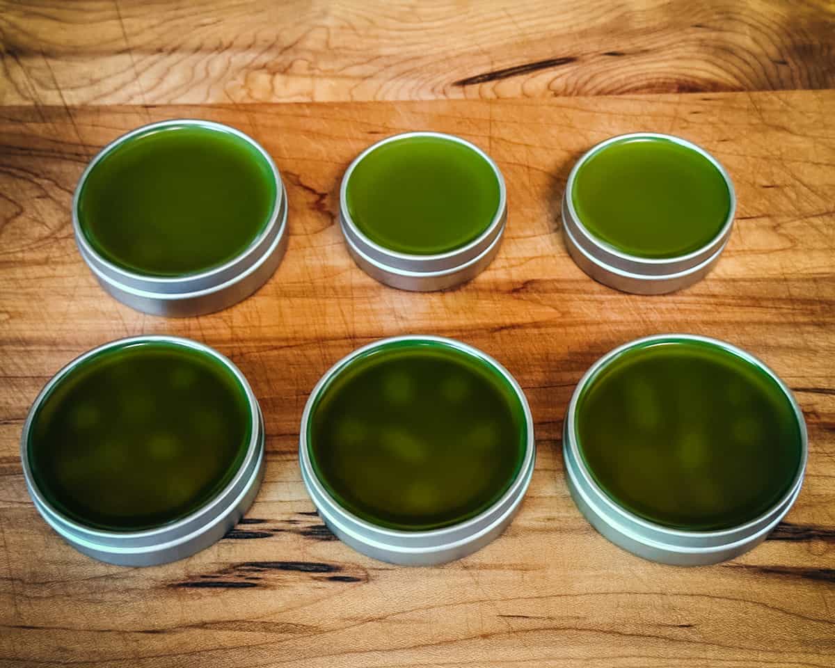 Tins of plantain salve cooling to set on a wood surface. 