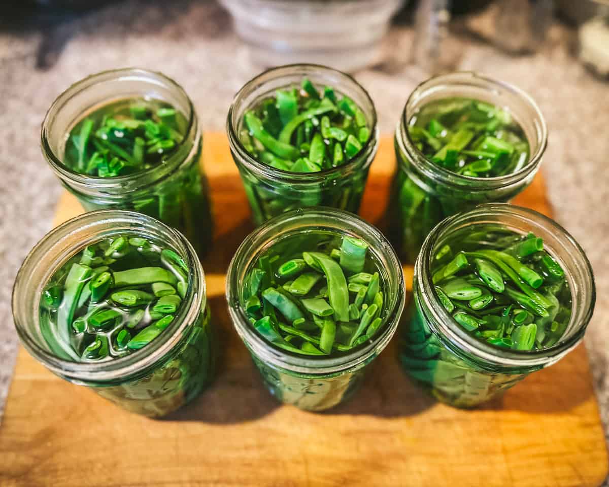 Green beans in jars filled with brine, top view. 