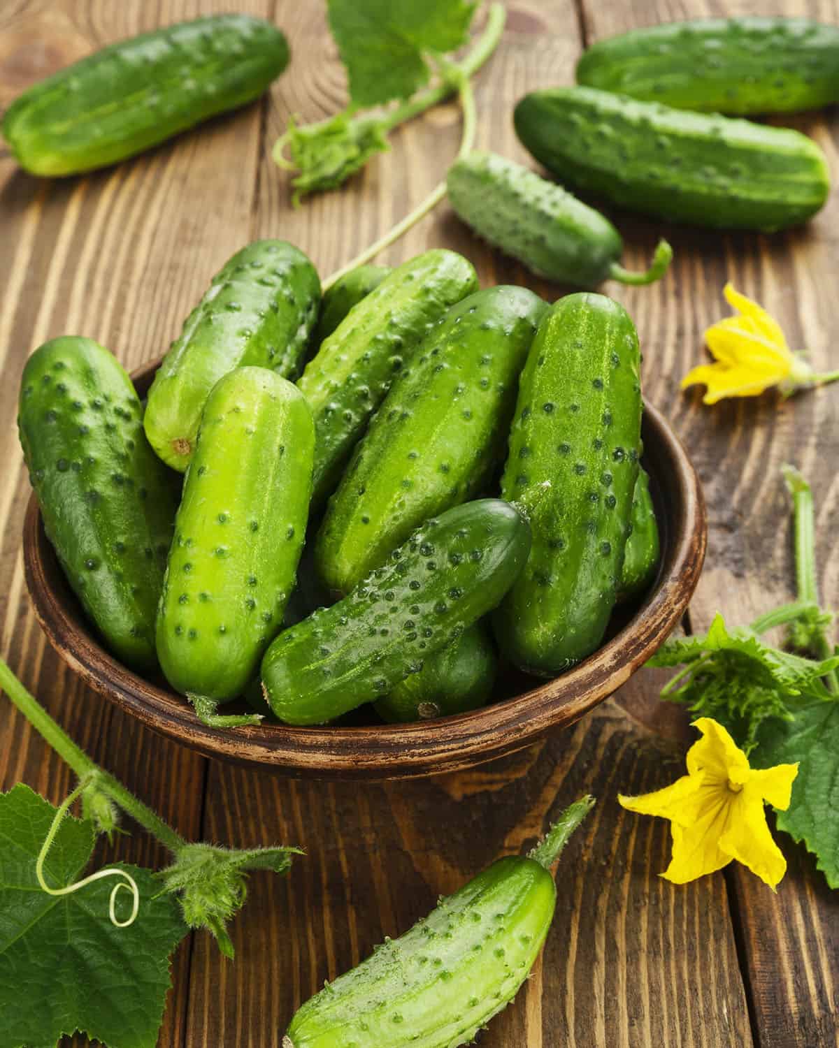 A wooden bowl of fresh whole cucumbers on a wood surface, with cucumbers with leaves and vine and flowers surrounding. Side angle view.