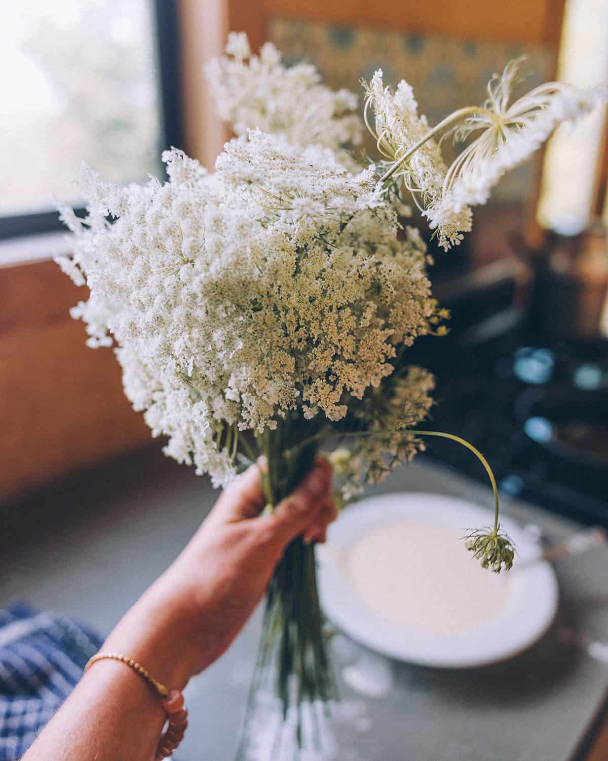 A hand holding a bunch of fresh Queen Anne's Lace flowers, with batter in a bowl in the background. 