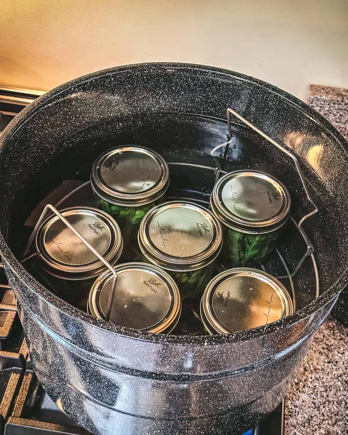 A water bath canner filled with jars of dilly beans, top view. 