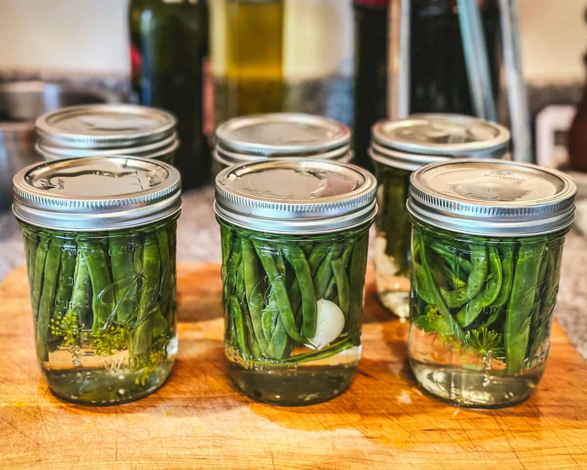 Jars of dilly beans cooling out of the canner, side view. 