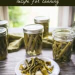dilly beans recipe canning