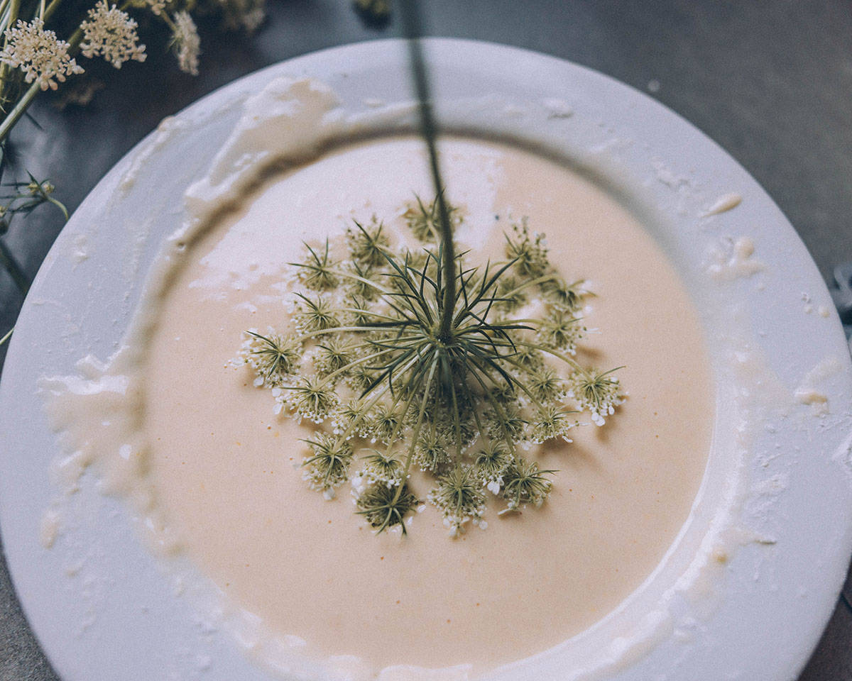 A white bowl filled with batter, and a Queen Anne's lace flower top being dipped from the stem into the batter. 