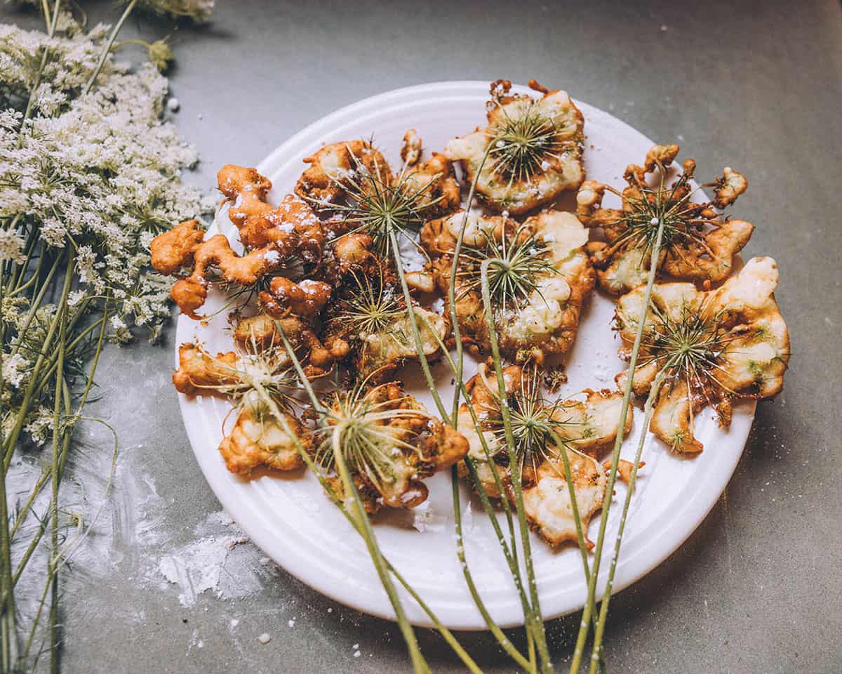 A white plate with freshly made Queen Anne's lace fritters on a gray surface with powdered sugar sprinkled and fresh Queen Anne's lace flowers surrounding. 