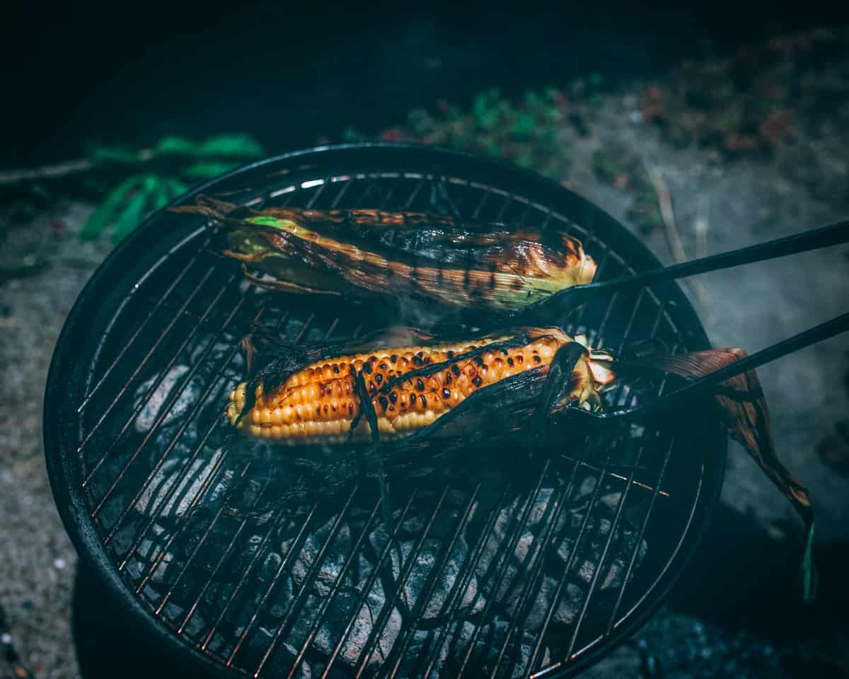 2 corn cobs on a circular black grill,  top view. 