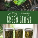 pickling and canning green beans