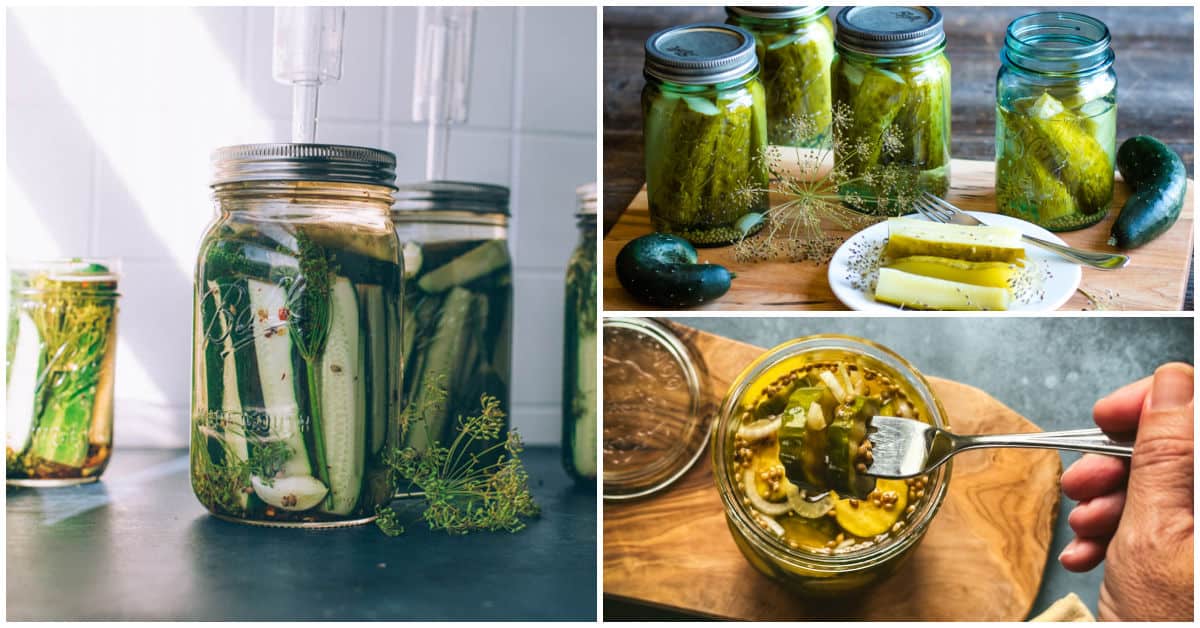How to Preserve Cucumbers Ferment, Can, Freeze and More!