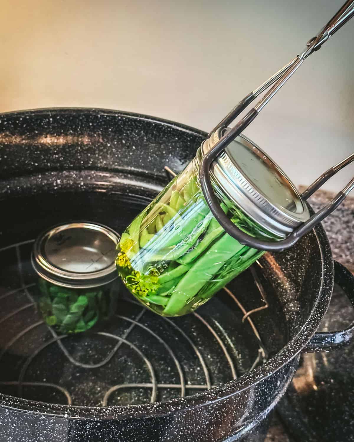 A jar of dilly beans going into the canner with a jar lifter. 