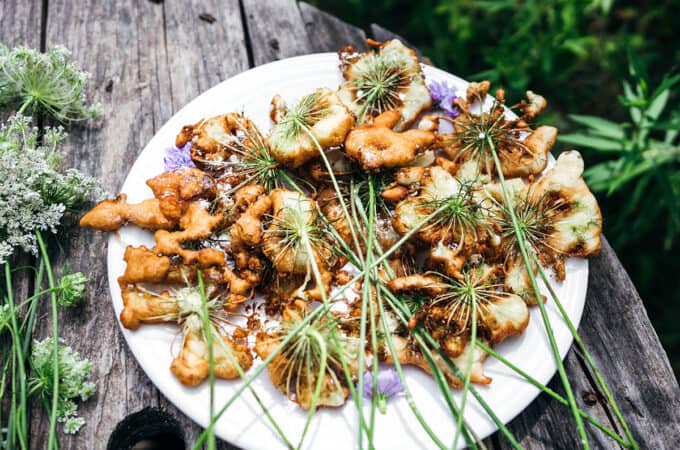 A plate of fried Queen Anne's lace flowers on a white plate, outside on a wood table with fresh Queen Anne's Lace flowers surrounding.
