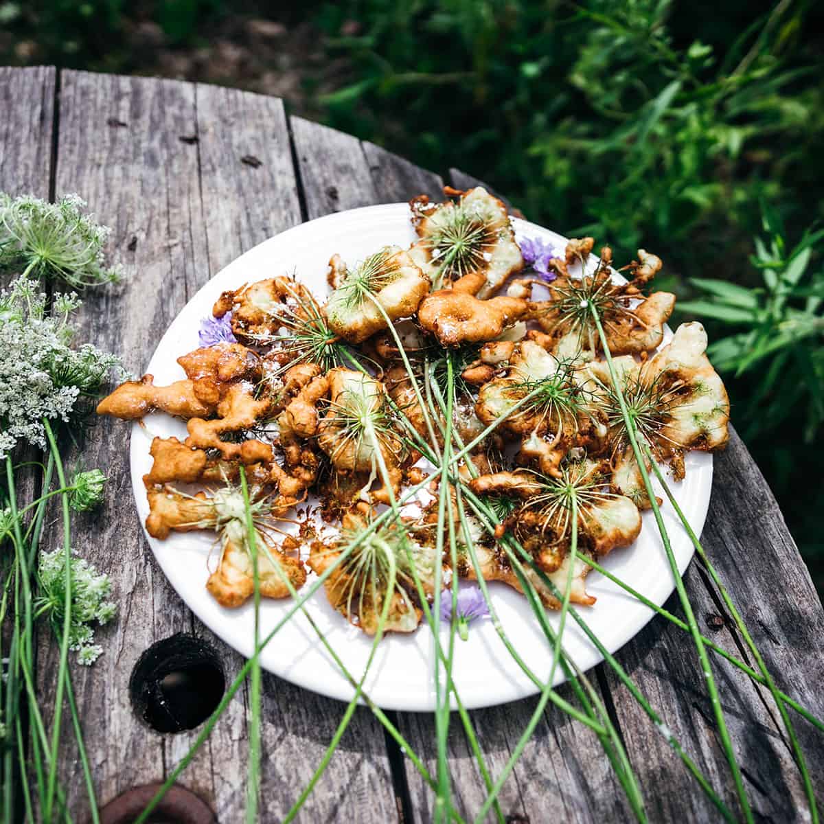 A plate of fried Queen Anne's lace flowers on a white plate, outside on a wood table with fresh Queen Anne's Lace flowers surrounding. 