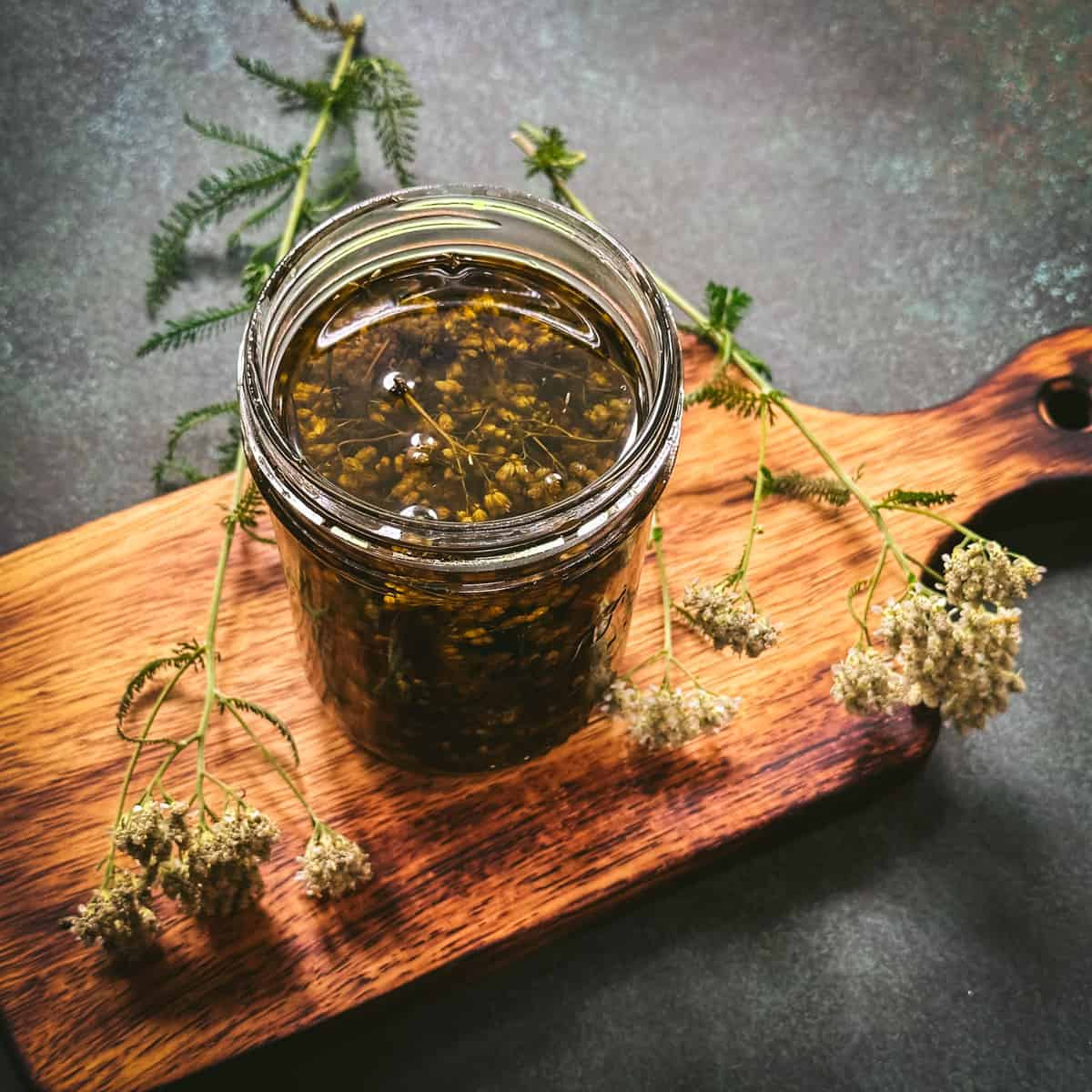 A jar of oil with yarrow flowers and leaves infusing in it, on a wooden cutting board with fresh yarrow flowers surrounding. Top view. 