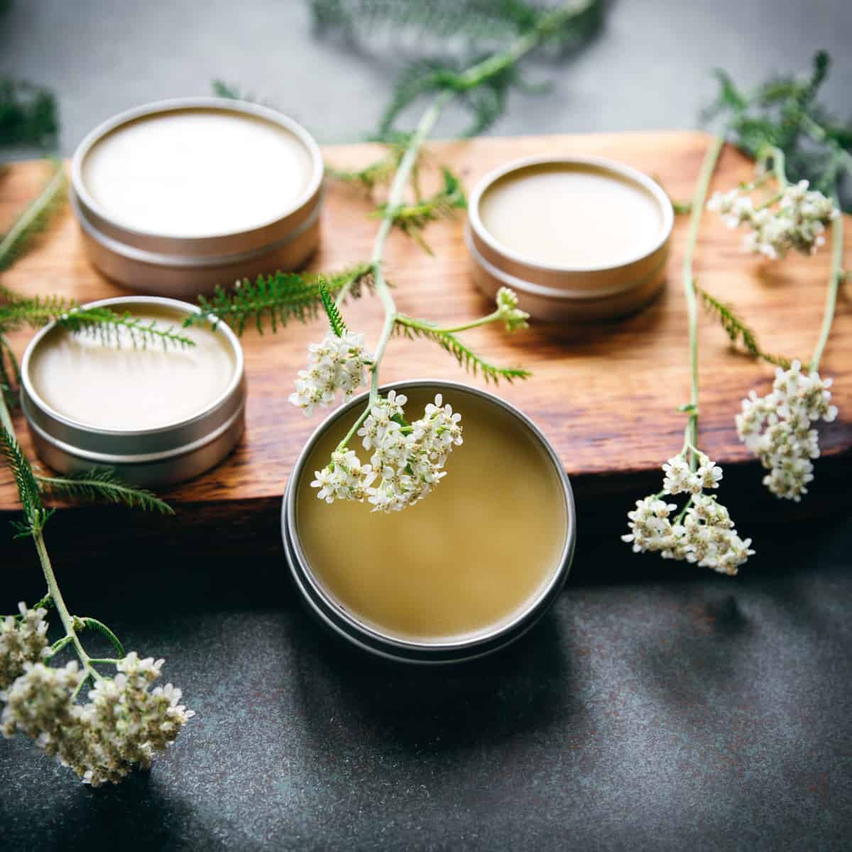 Yarrow salve in tins on a wooden cutting board, with yarrow flowers laying over the top, on a dark gray countertop.