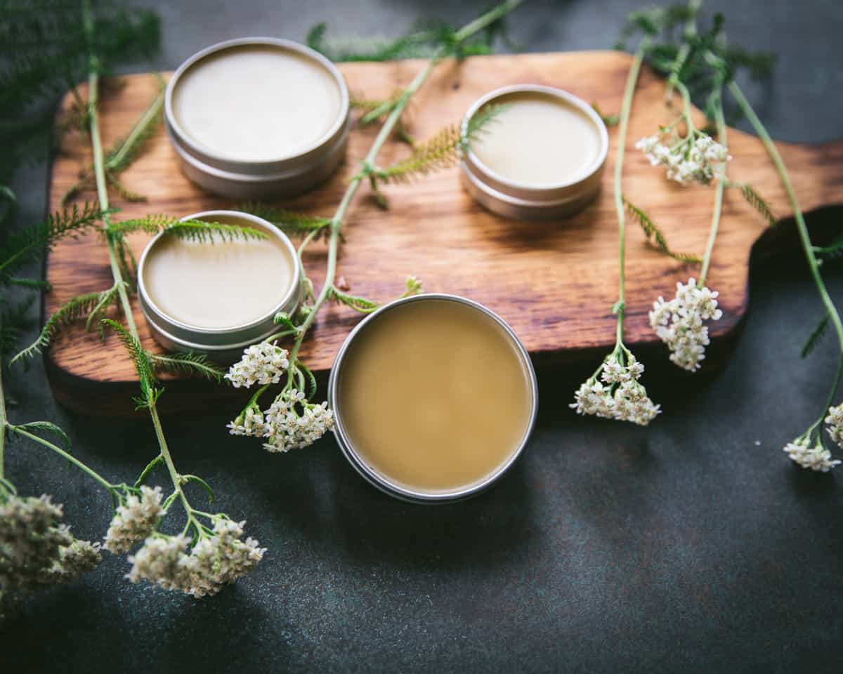 Tins of yarrow salve o a wood cutting board with yarrow flowers surrounding.