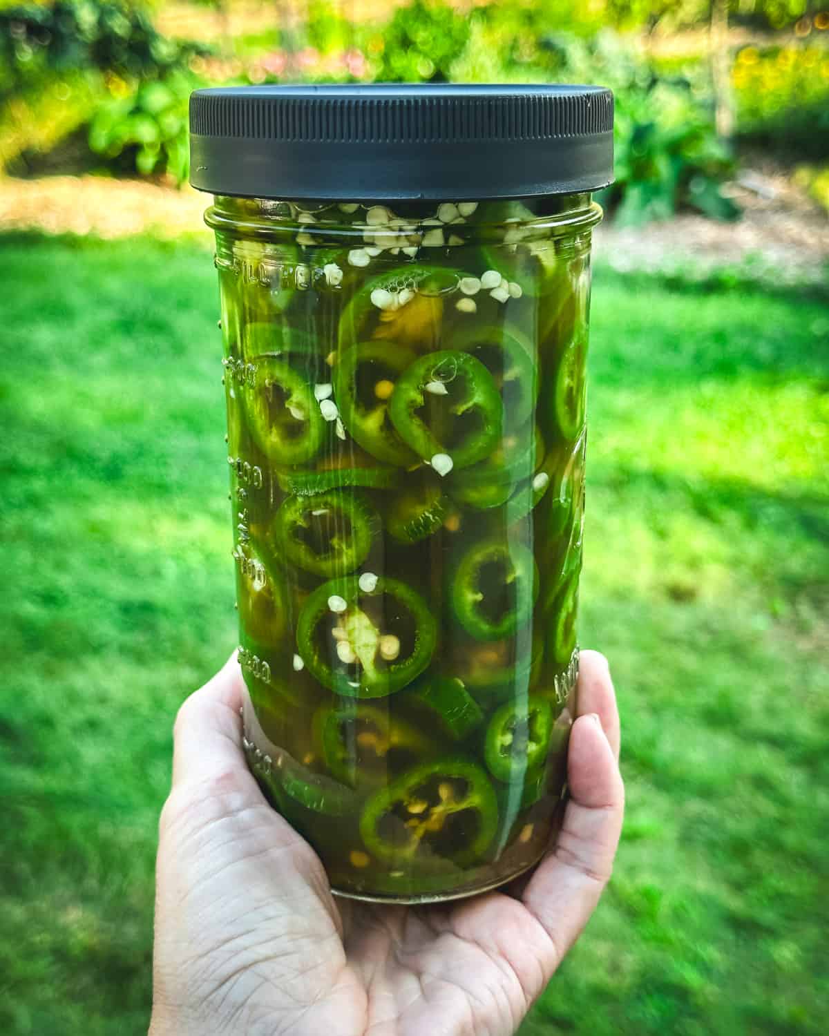 A jar of sliced jalapeños in pickling brine, with a lid on it. Held up by a hand outside with grass in the background. 