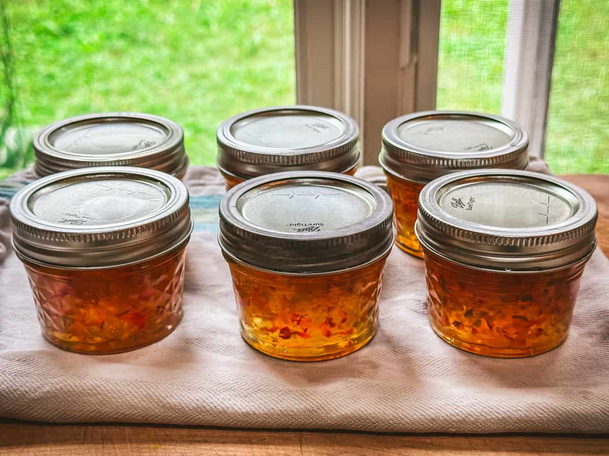 Jars of canned pepper jelly on a wooden cutting board with a window shining light in the background. 