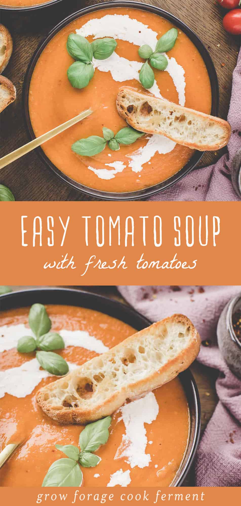 Homemade Tomato Soup with Fresh Tomatoes