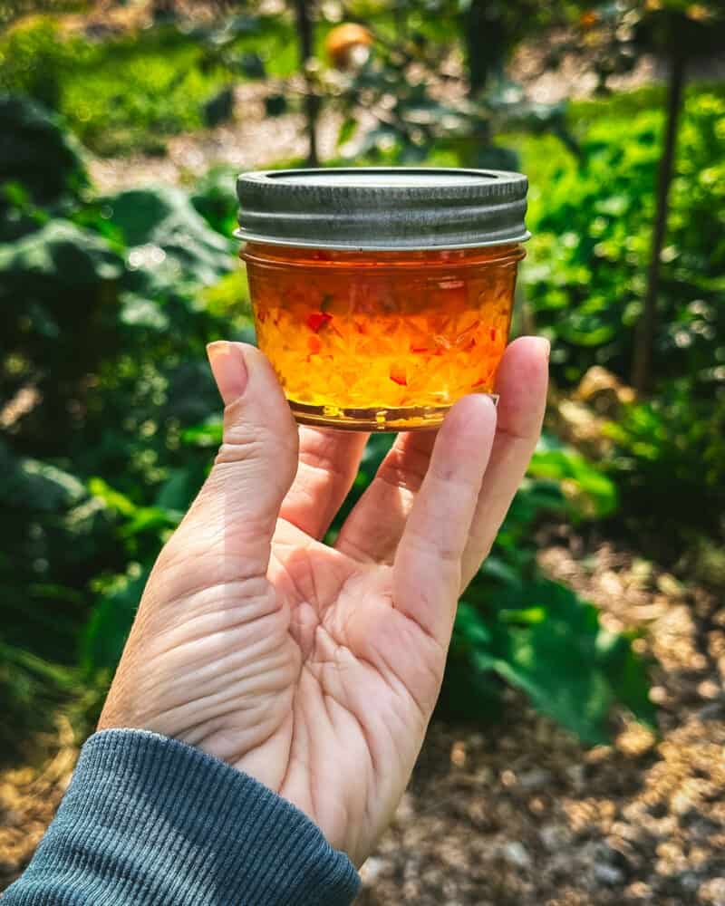 A jar of pepper jelly being held up by a hand outside with greenery in the background.