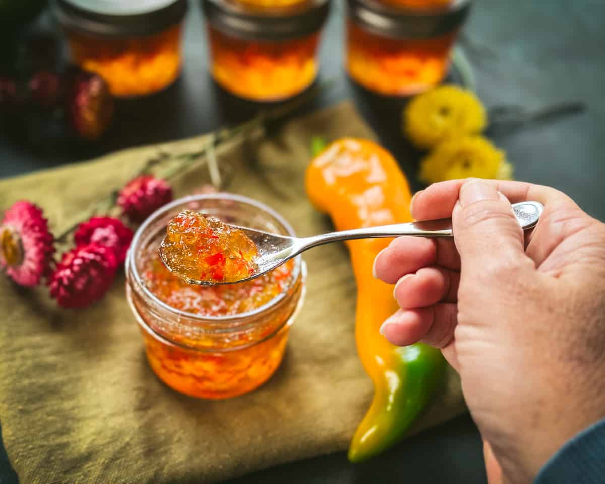 A spoonful of pepper jelly being lifted out of a jelly jar, on a wooden cutting board with flowers and an orange bell pepper. 