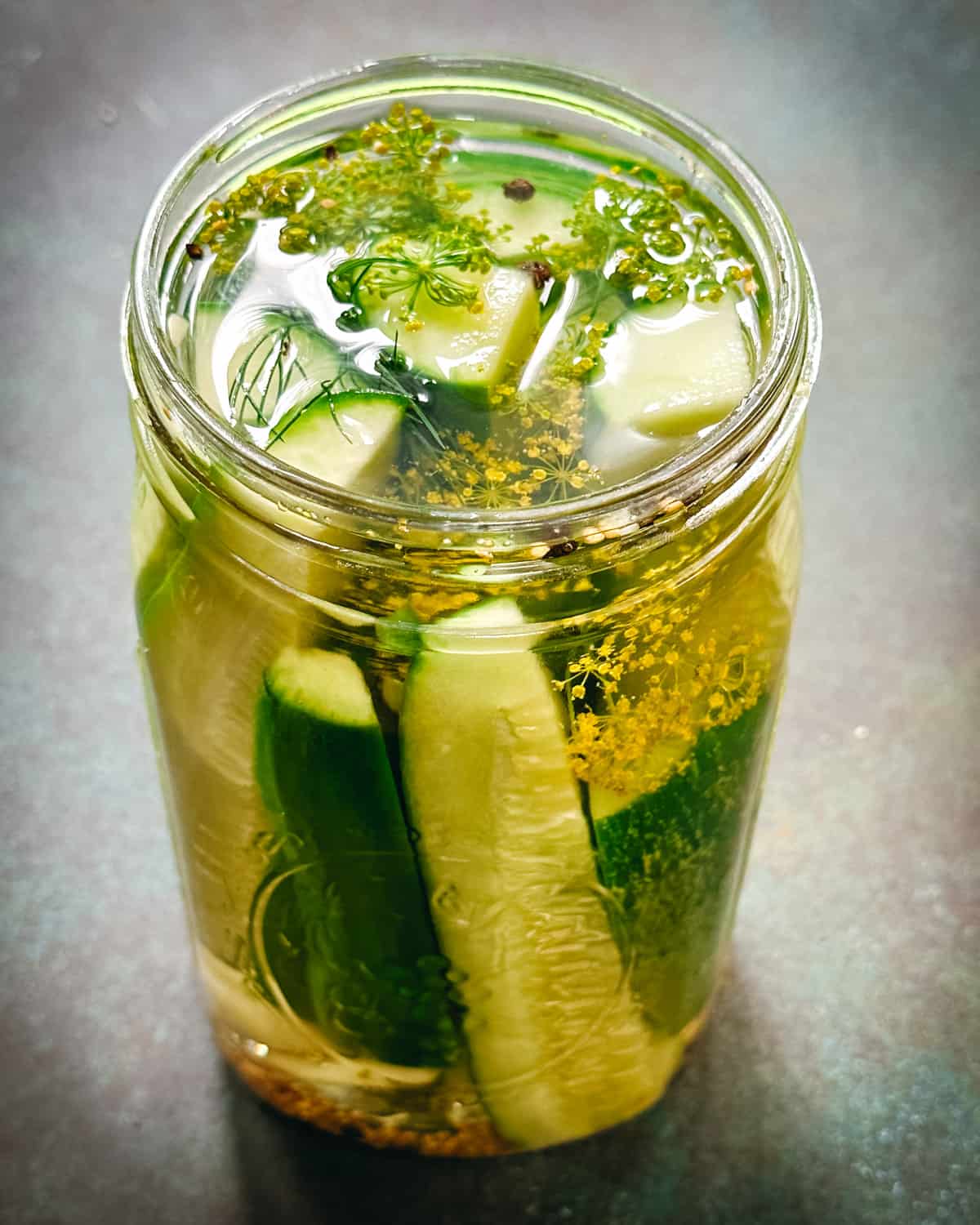 A jar of cucumbers submerged in pickling liquid with fresh and whole spices, ready to be pickled.