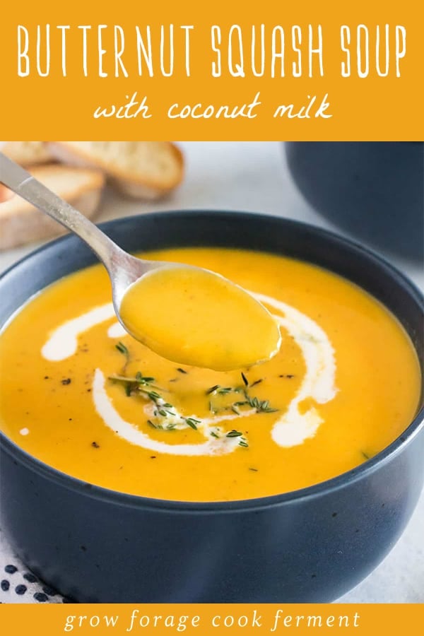 Butternut Squash and Ginger Soup