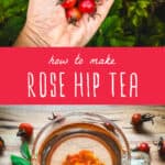 how to make rose hip tea