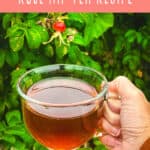 rose hip tea recipe