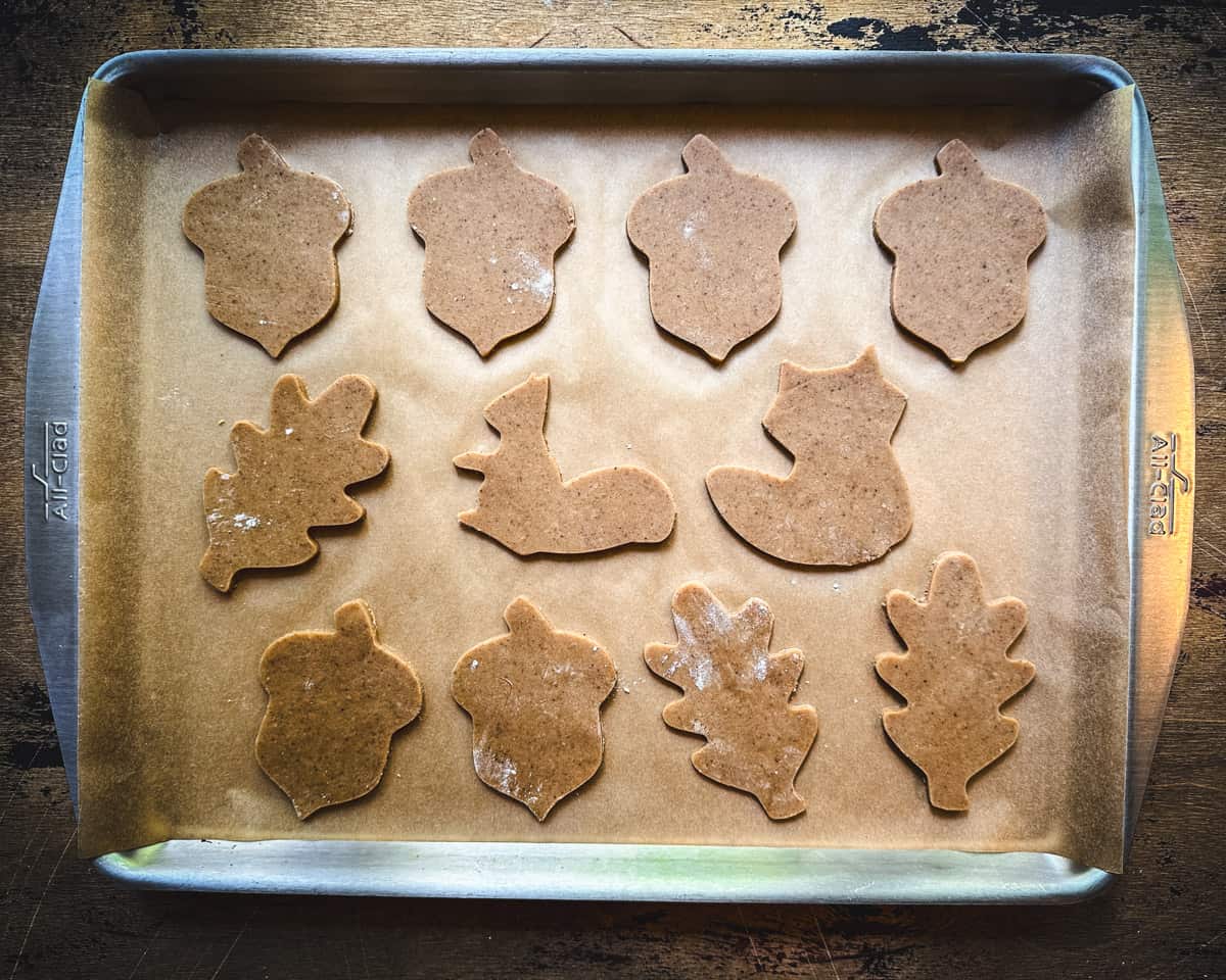 A baking sheet with acorn flour fall shaped cookie cutter cookies ready to bake. 