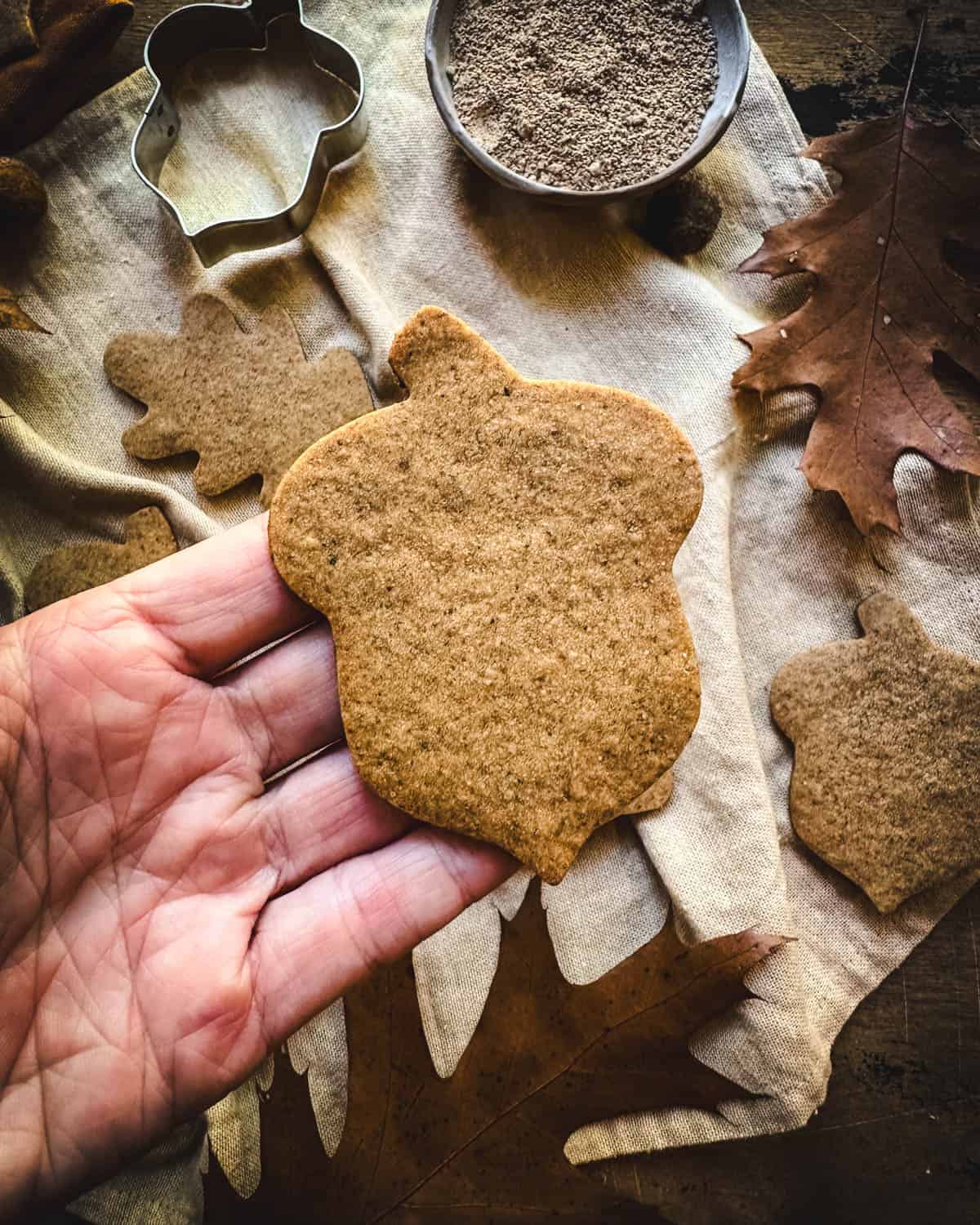 An acorn shaped cookie being held up by a hand, top view. 