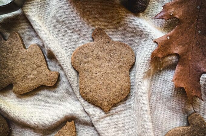 Acorn flour cookies in the shape of leaves, squirrels, and acorns on a natural white cloth surrounded by fall leaves and a bowl of acorn flour.