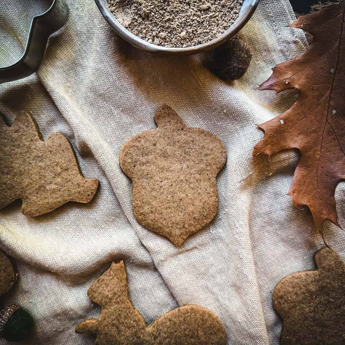 Acorn flour cookies in the shape of leaves, squirrels, and acorns on a natural white cloth surrounded by fall leaves and a bowl of acorn flour.