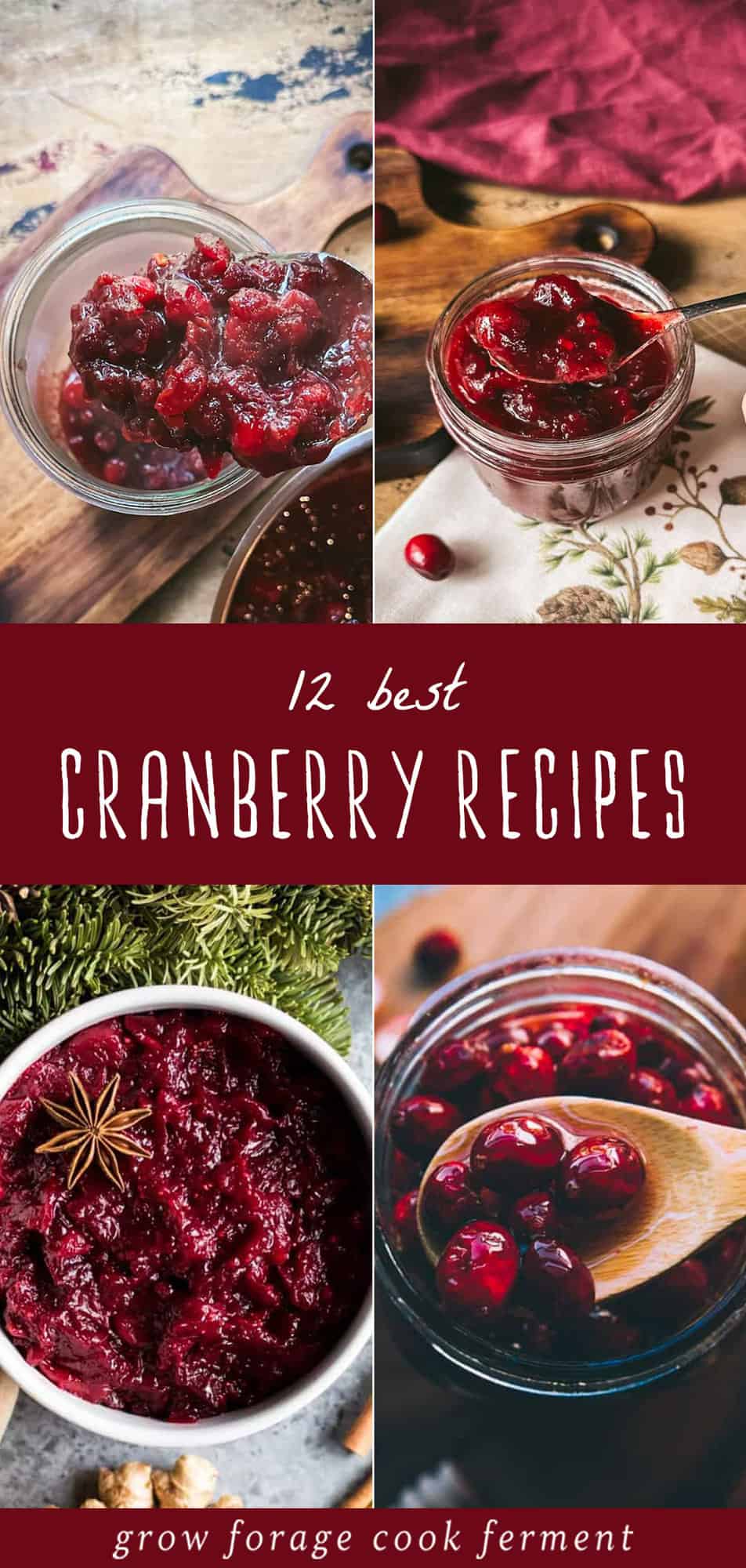 12 Cranberry Recipes: Sauce, Relish, Fermented, and Preserved